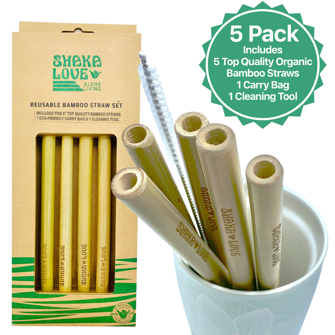 Manchester City Reusable Straws 6 Pack